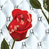 E  39